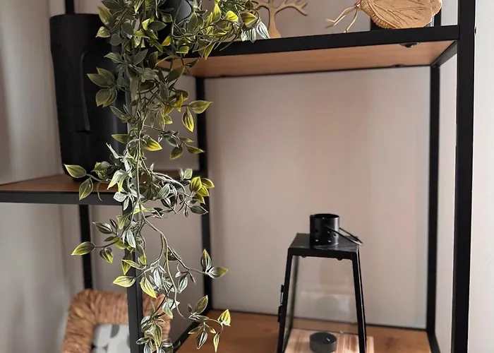 Goldy With Private Garden 公寓 布尔加斯